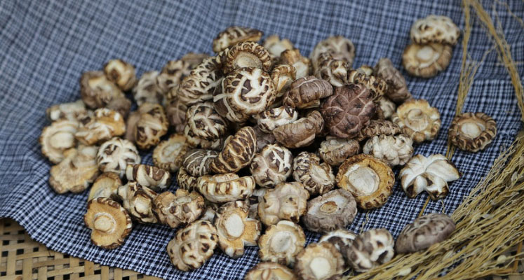 آشنایی با محصولات تولید شده از قارچ شیتاکه